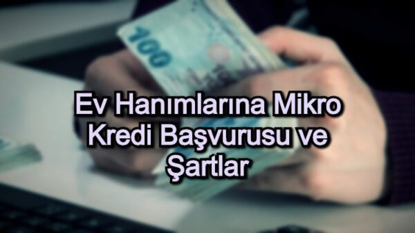 evhanimi 1 Ev Hanımlarına Mikro Kredi Veren Bankalar ve Kuruluşlar